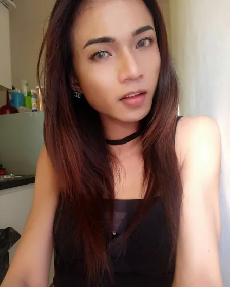 dominique-trans-toulon